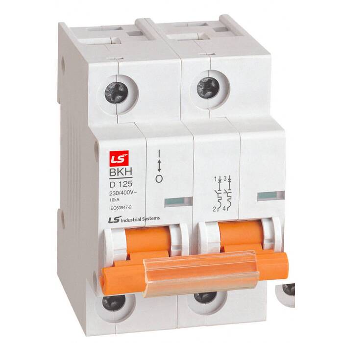 Автоматический выключатель LS Electric BKH 2P 100А (C) 10кА, 061205988B